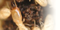 jigyou_photo2.gif